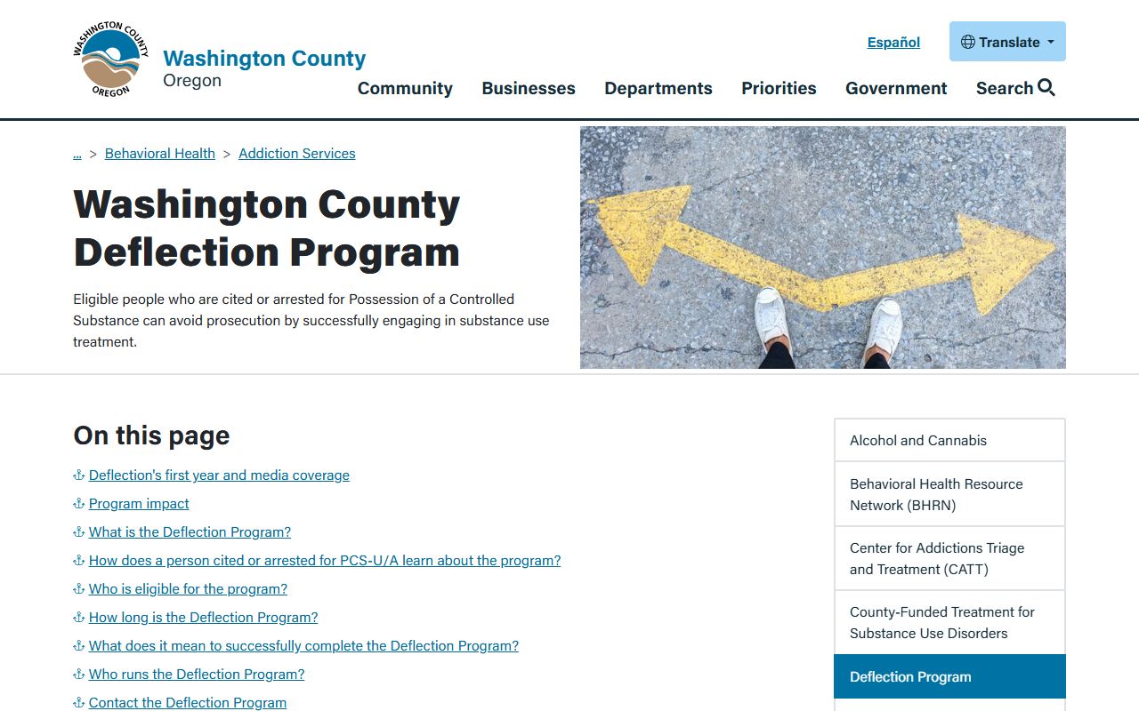 Washington County Court records deflection program information
